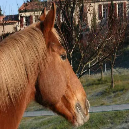 Domaine De Perry Pieusse